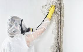 Best Dehumidification Services  in Lafayette, OR